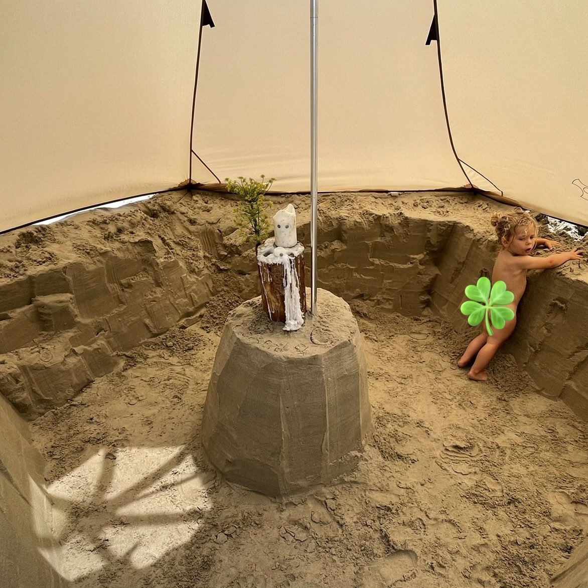 Timothy Williams ⚴ tweet media