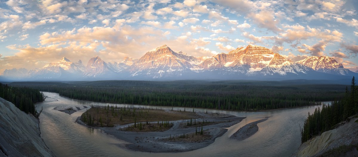 James Andrew tweet media