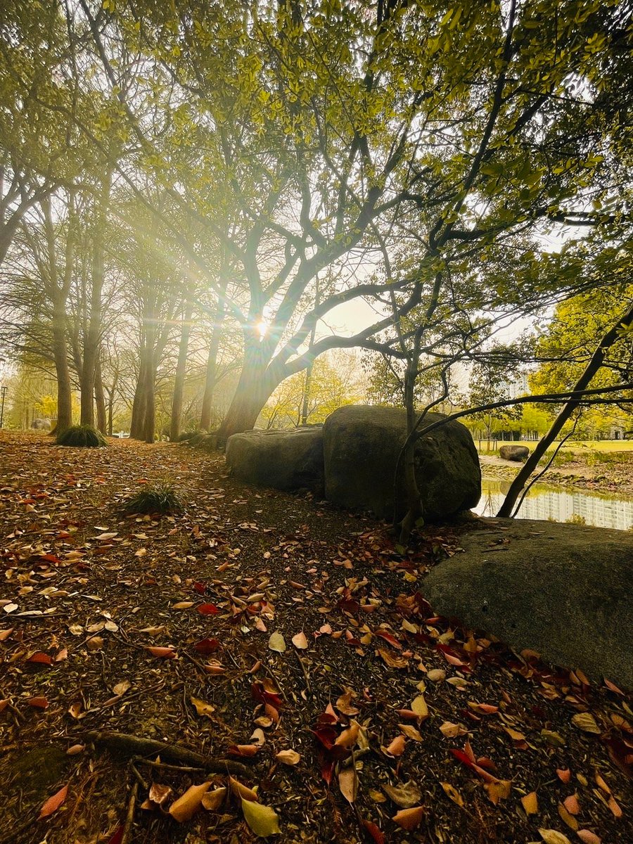 nelia i. collier tweet media