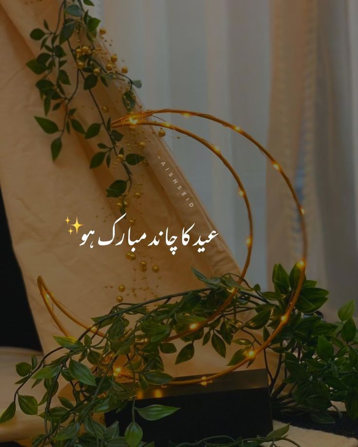 DTE PUNJAB DSD tweet media