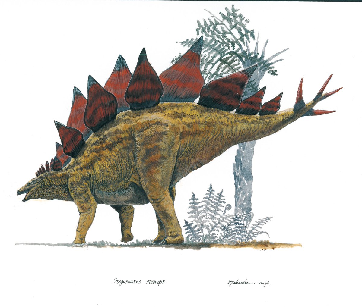 小田　隆　Oda Takashi tweet media