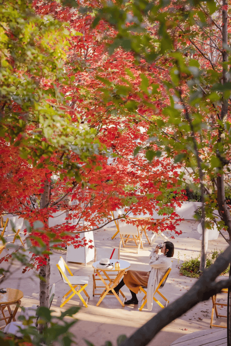 nickesha tweet media