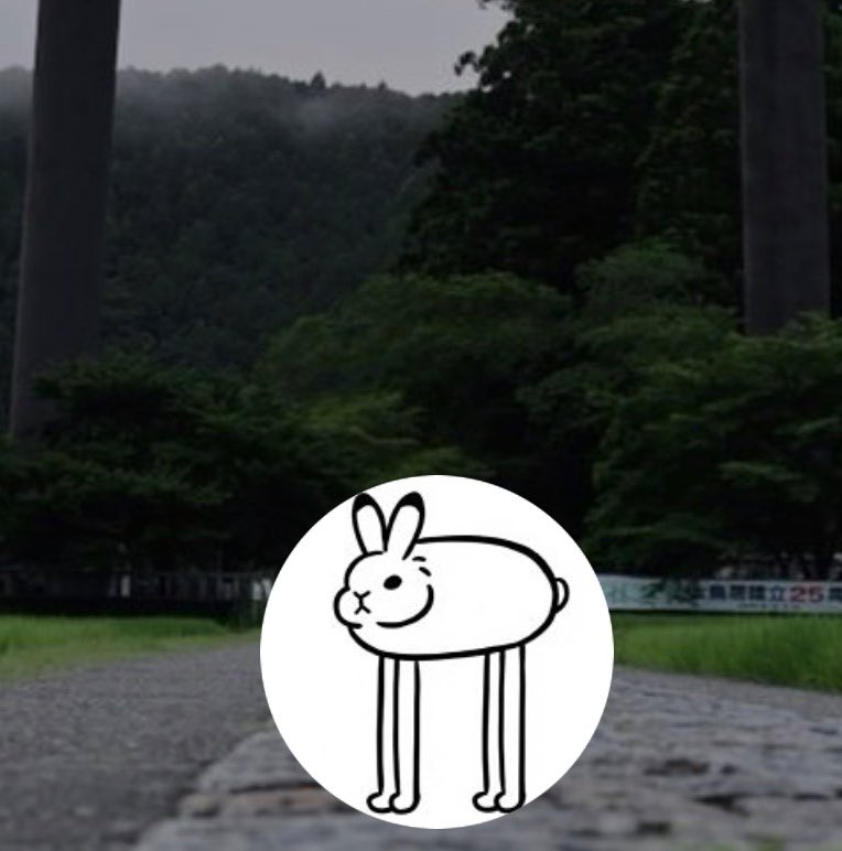 でかうさでかお@ウサギスキー🐇 tweet media