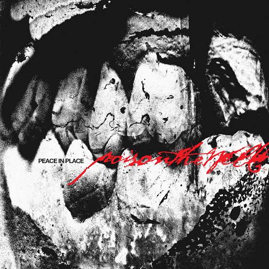 𝕸𝖚𝖘𝖎𝖕𝖊𝖉𝖎𝖆 𝕺𝖋 𝕸𝖊𝖙𝖆𝖑 tweet media