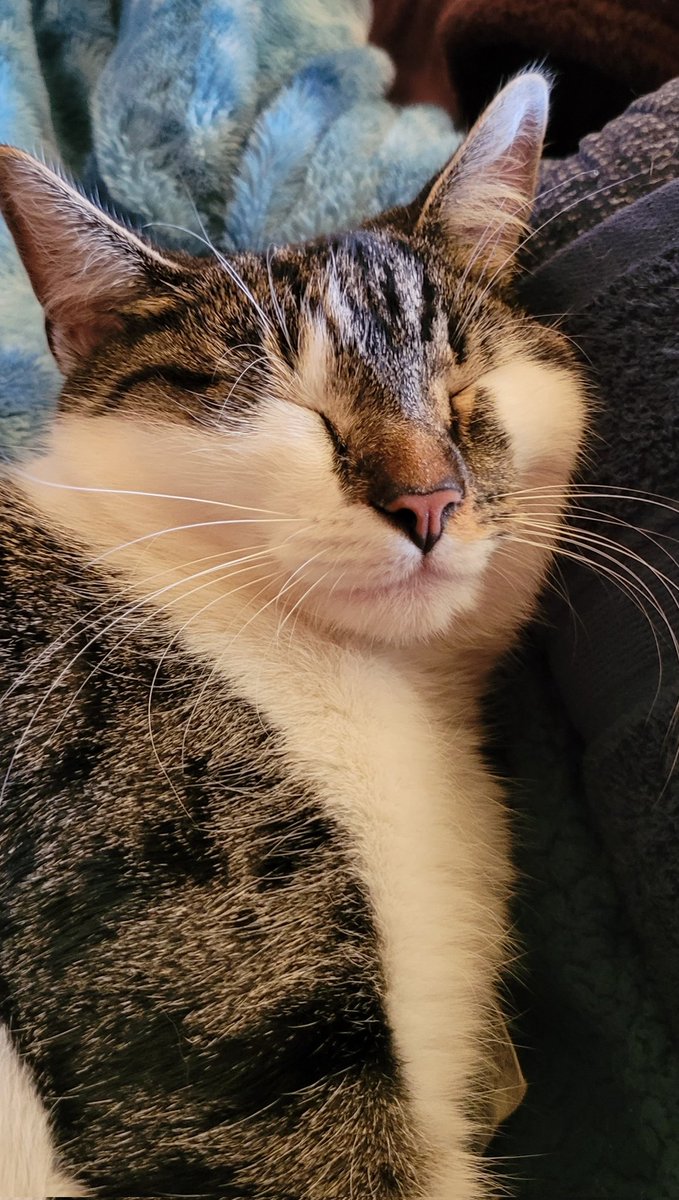 Lisellle tweet media