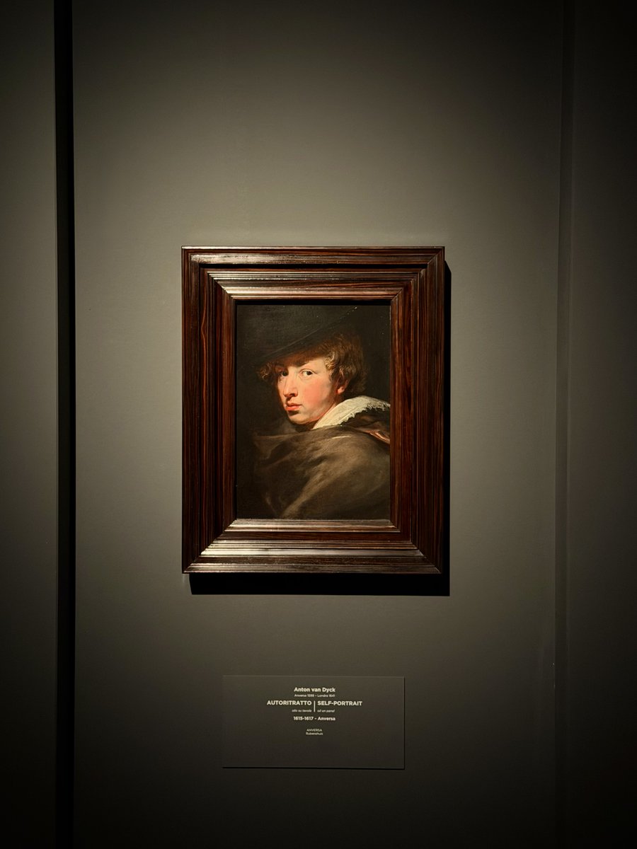 genovamorethanthis tweet media