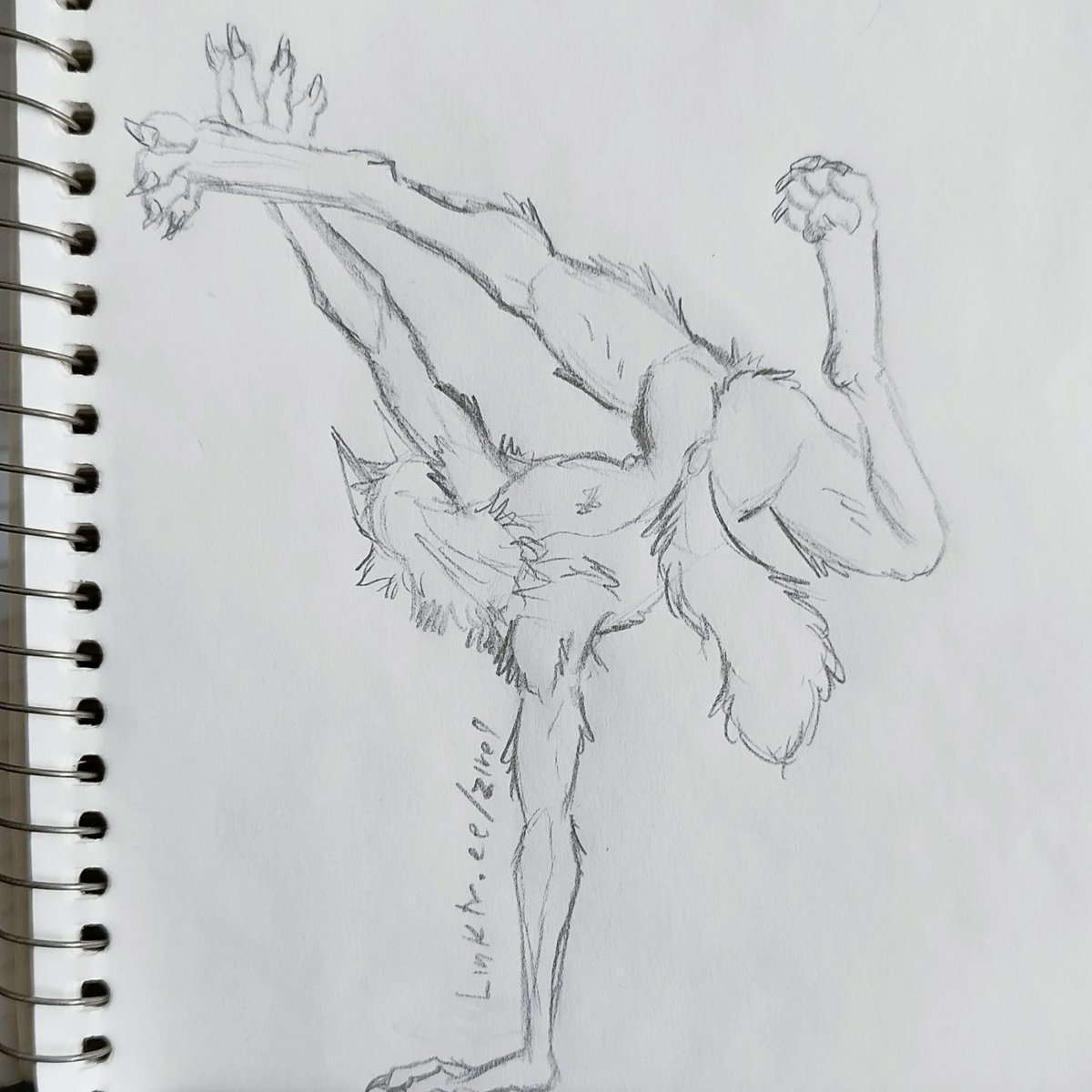 Zire (C0mmissi0ns closed) tweet media