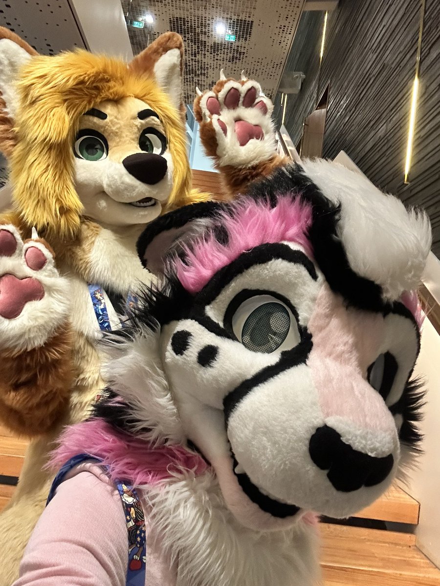 pakapakapakapakapakapakapaka tweet media