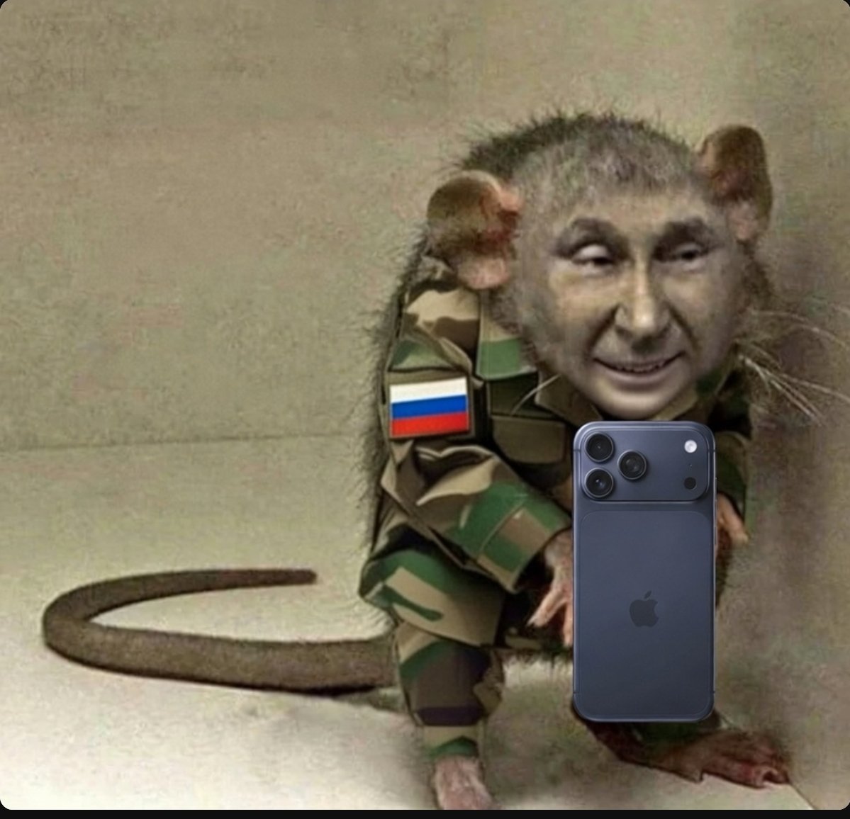 GratDauf 🇨🇵 🇪🇺 NiRN NiLFI tweet media