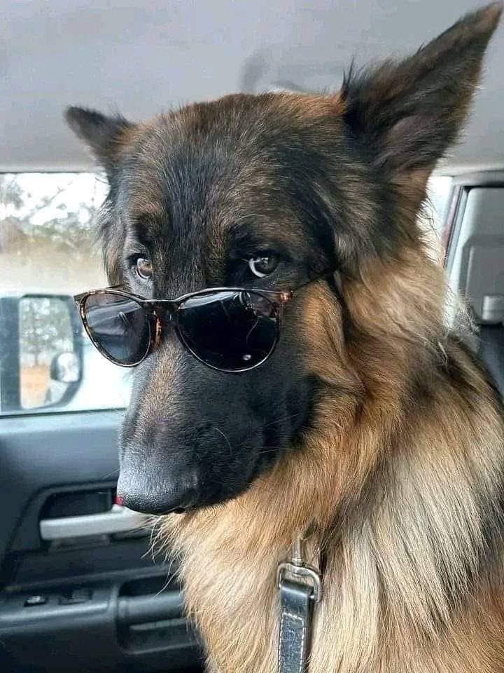 cutie🗨 tweet media