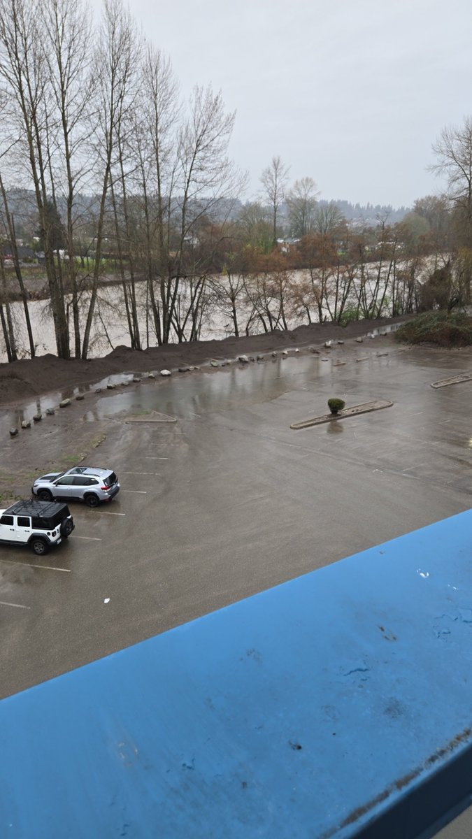 🔻realGlarthir tweet media