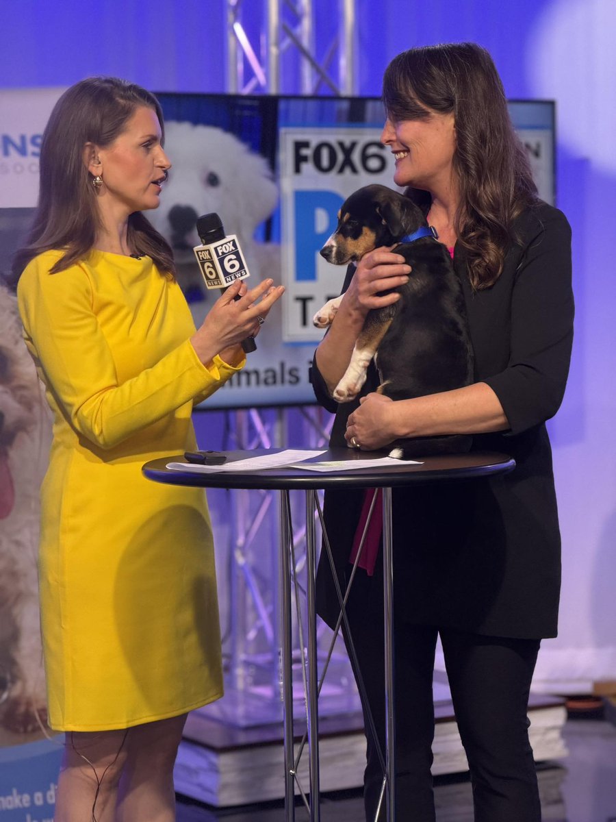 Wisconsin Humane Society tweet media