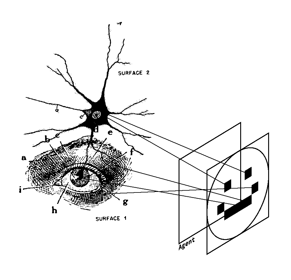 𝗦𝗘𝗘𝗟𝗘 tweet media