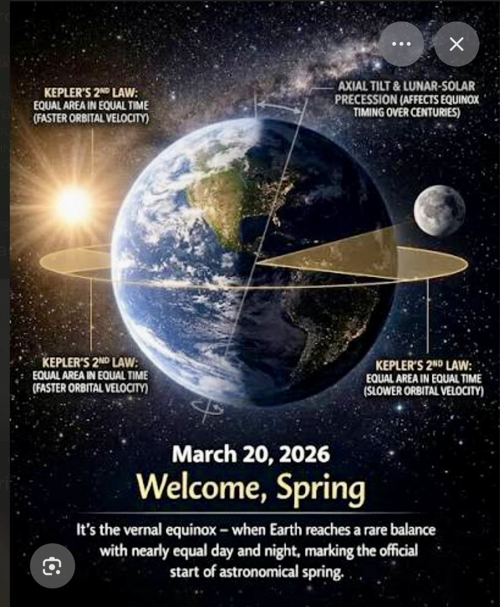 David Gusitsch tweet media