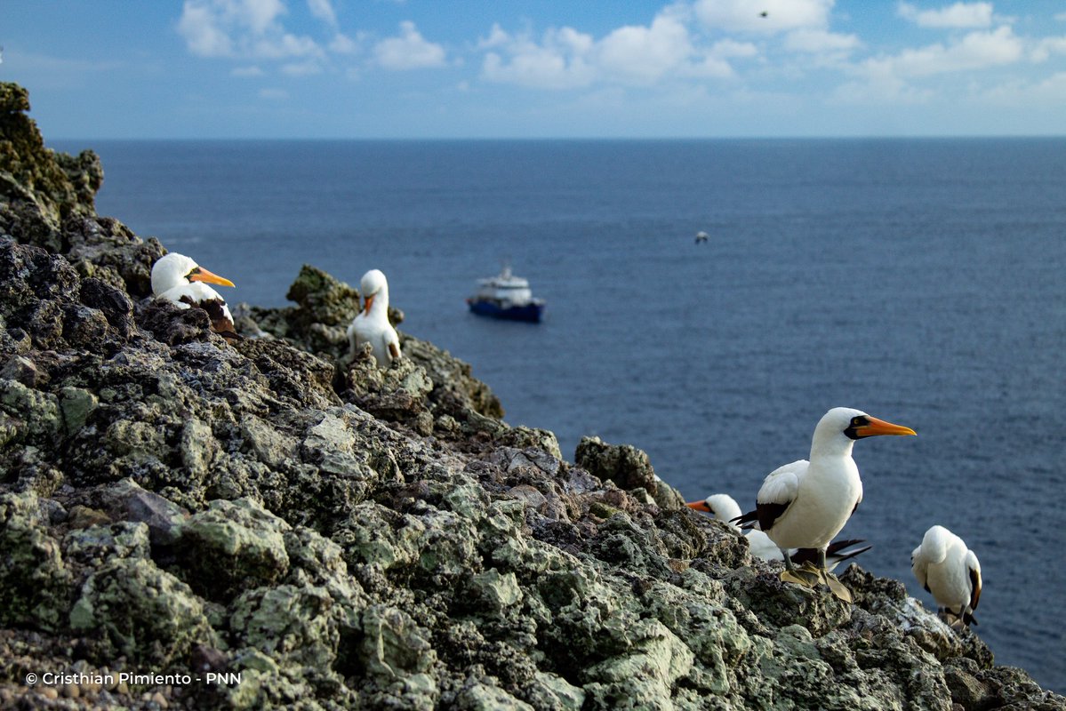 Parques Nacionales Naturales de Colombia tweet media