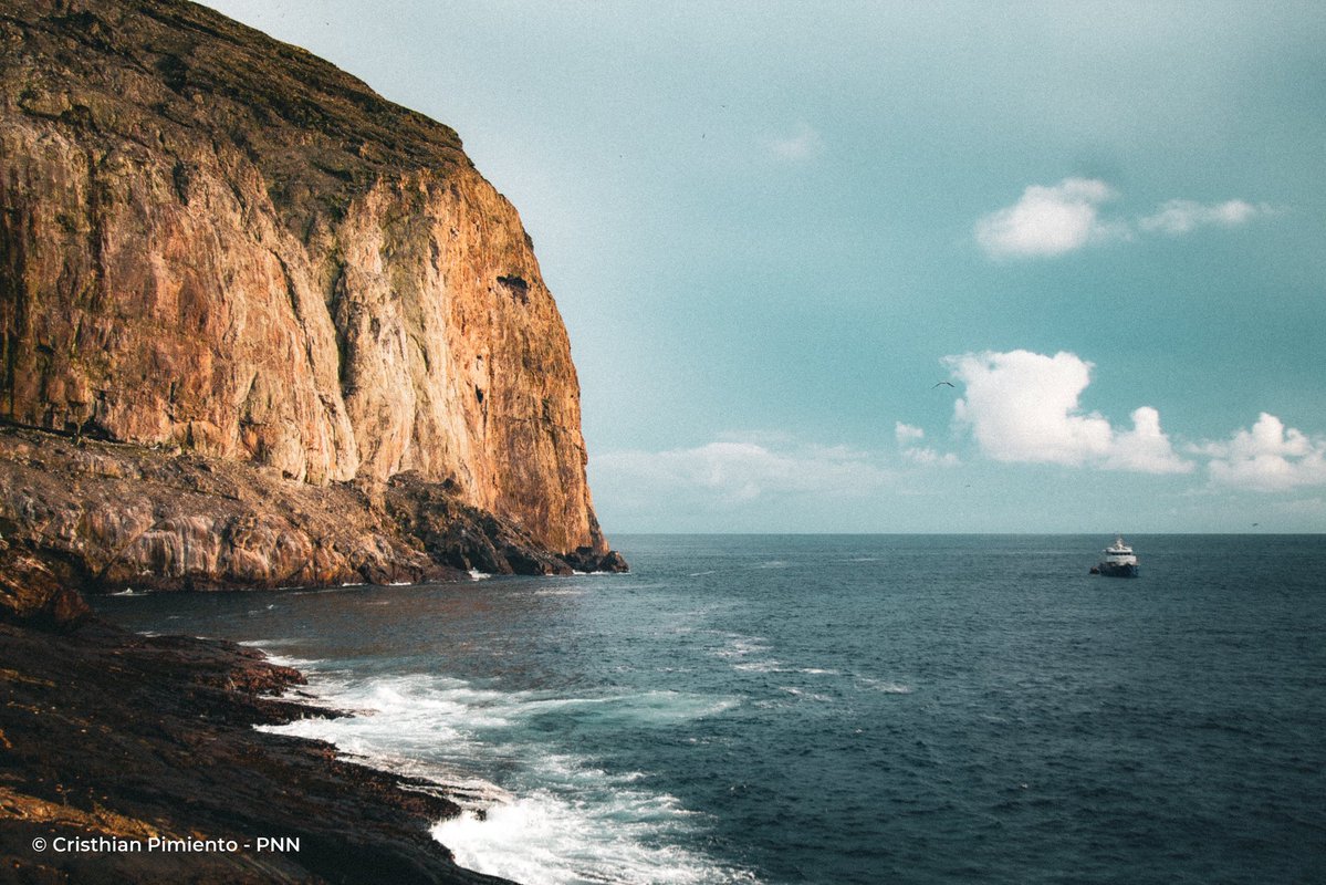 Parques Nacionales Naturales de Colombia tweet media