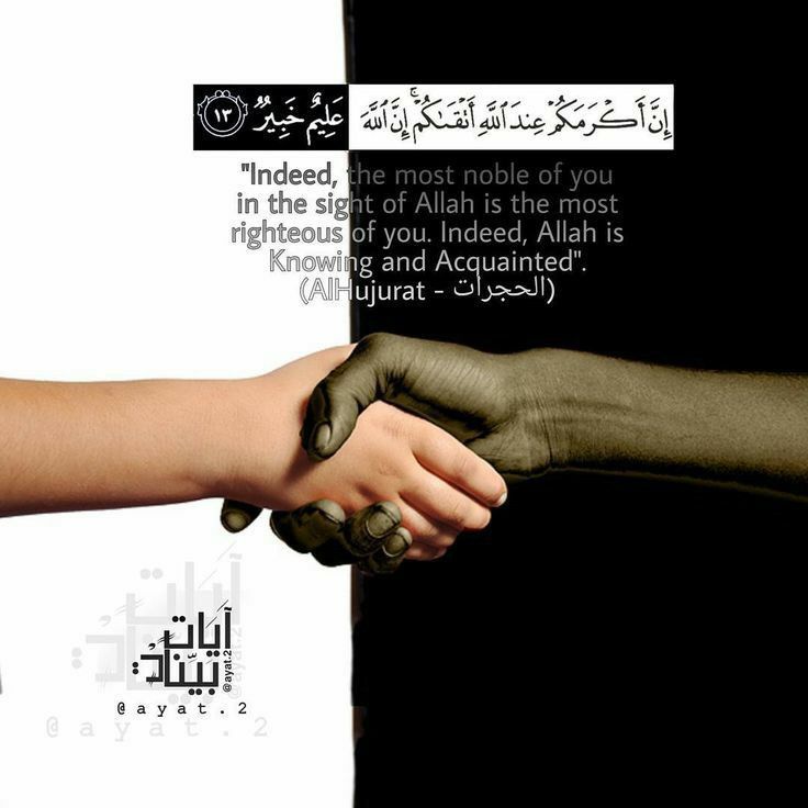 القرآن الکریم tweet media