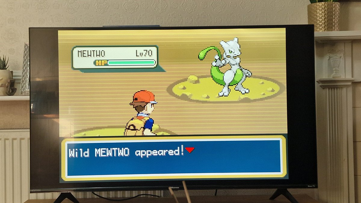 Shiba Mashups! 🎵 tweet media