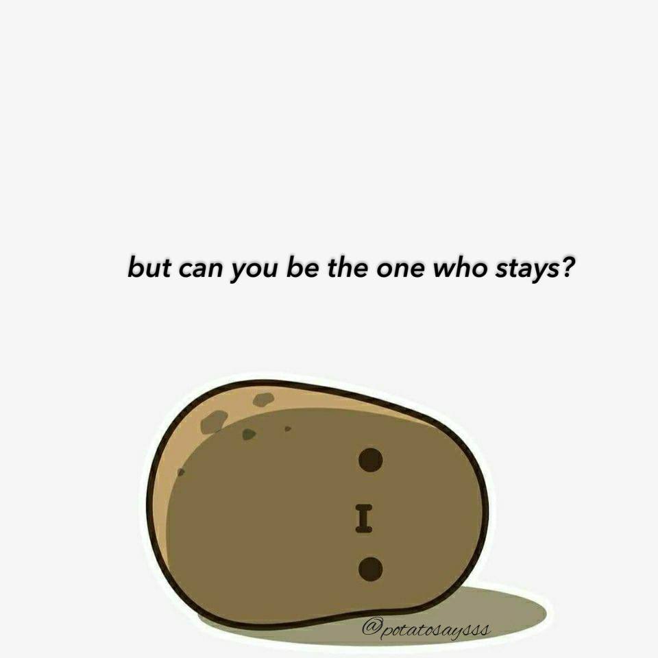 potatosaysss's tweet photo. https://t.co/HmEaTqtTwy