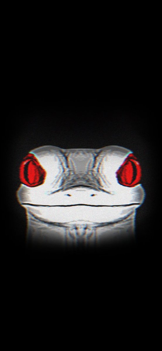 산세베리아(트친소) tweet media