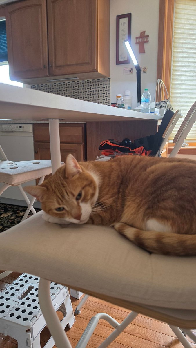 ThatOneDan tweet media