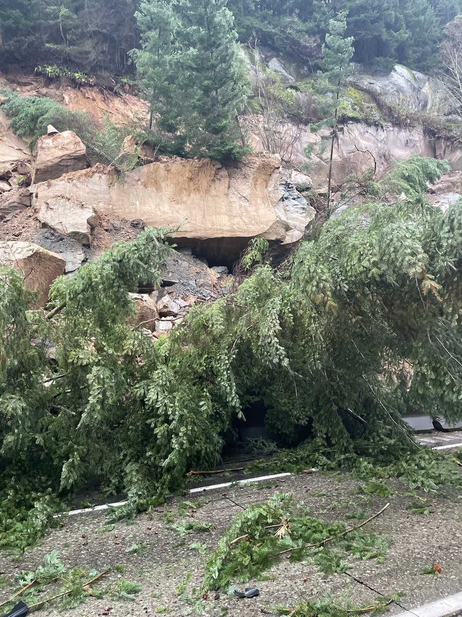 WSDOT North tweet media