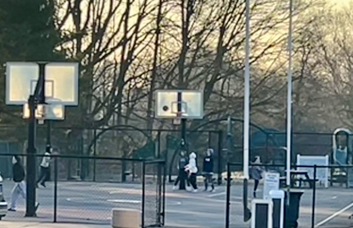 David Gusitsch tweet media