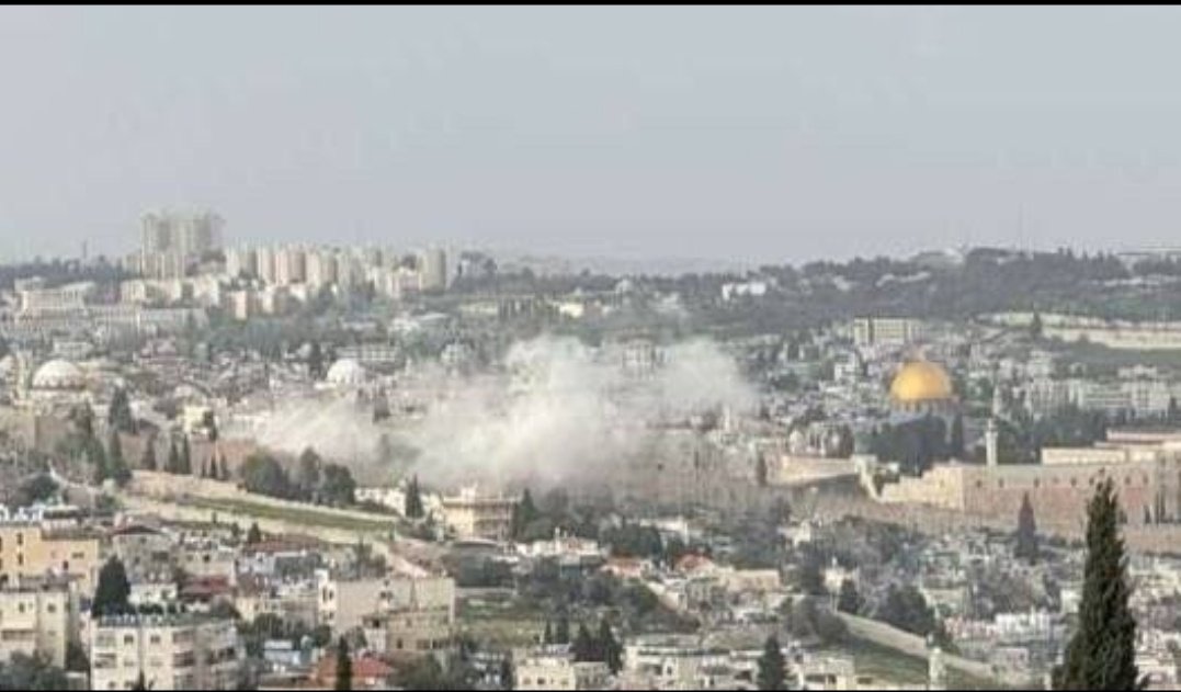 Hanan Brand tweet media