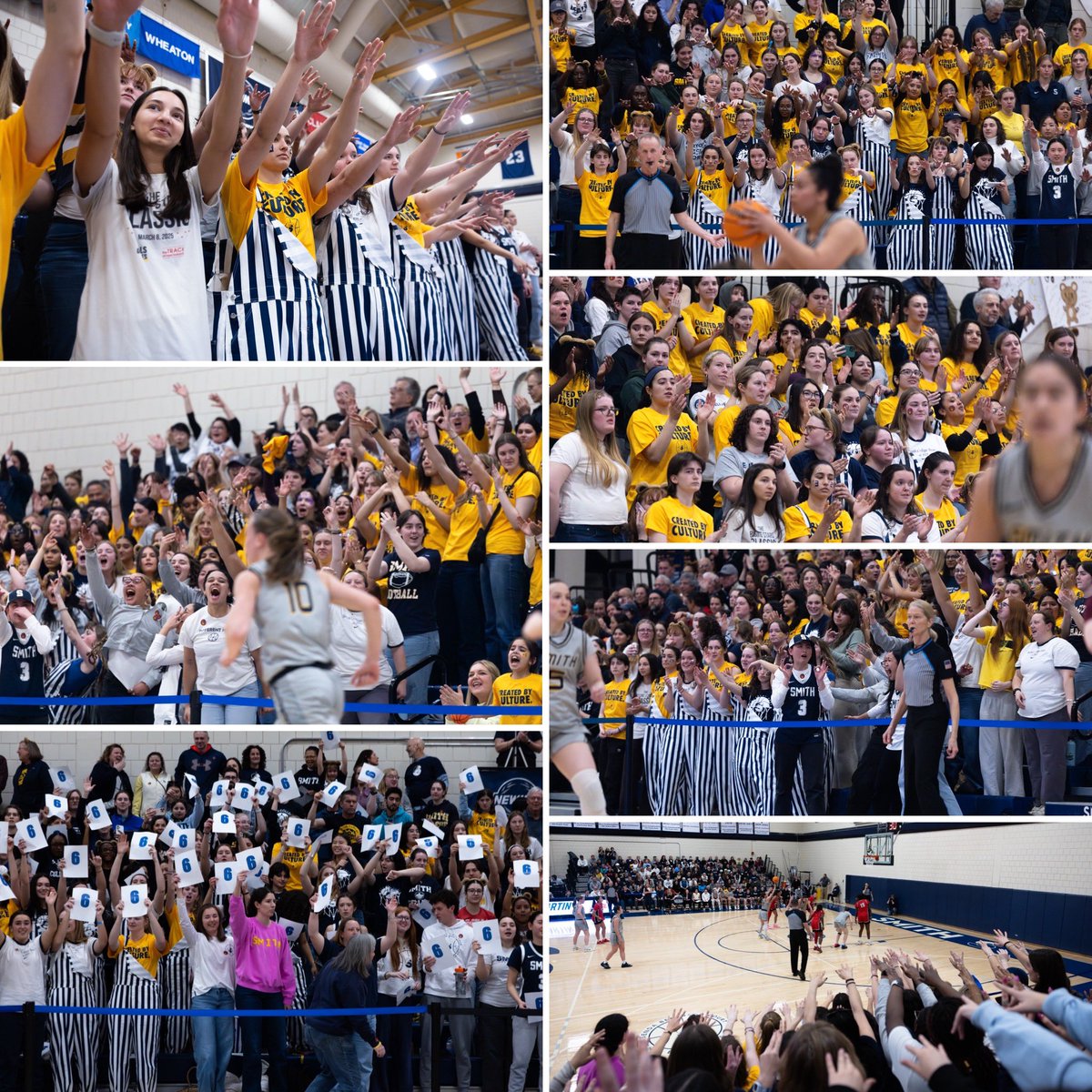 𝐒𝐦𝐢𝐭𝐡 𝐁𝐚𝐬𝐤𝐞𝐭𝐛𝐚𝐥𝐥 tweet media