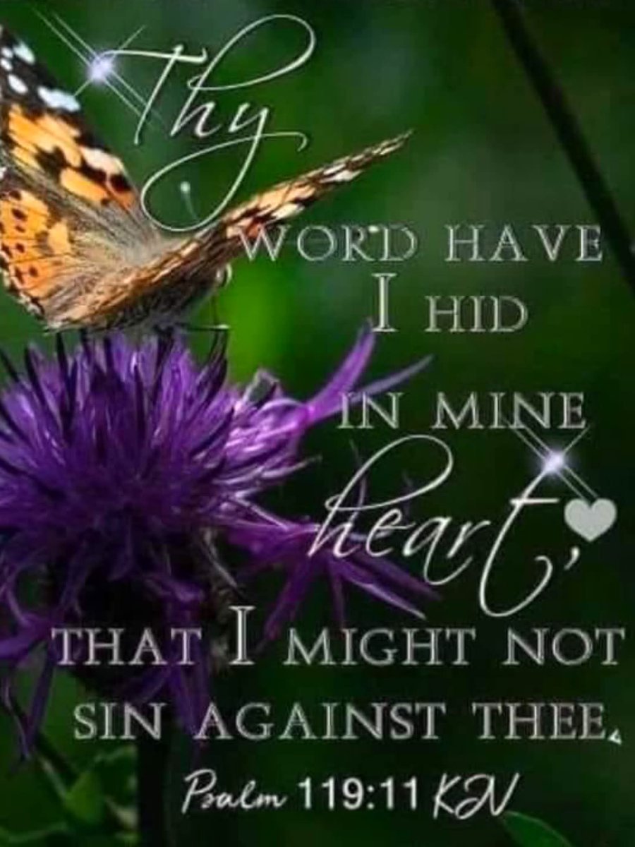 ☘🦋🌸⚘💛 Eva 💛⚘🌸🦋☘ tweet media