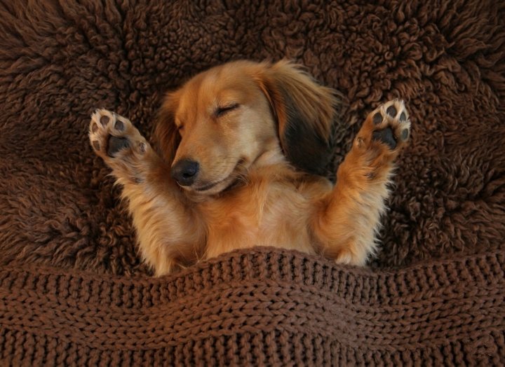 うたたね🐾🐾 tweet media