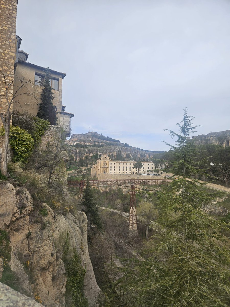 Alejandro Estrems ⚖ tweet media