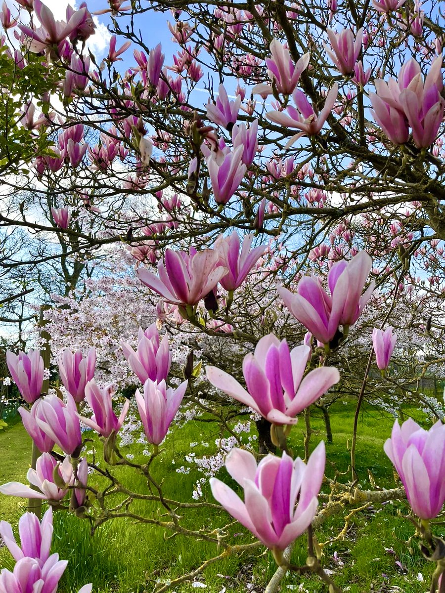 Andrew Edwards tweet media