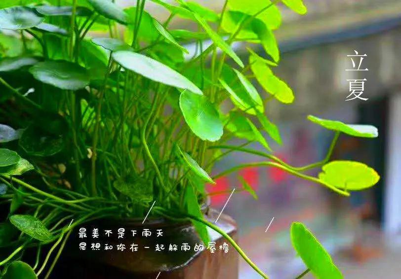 Bobby Weaver tweet media