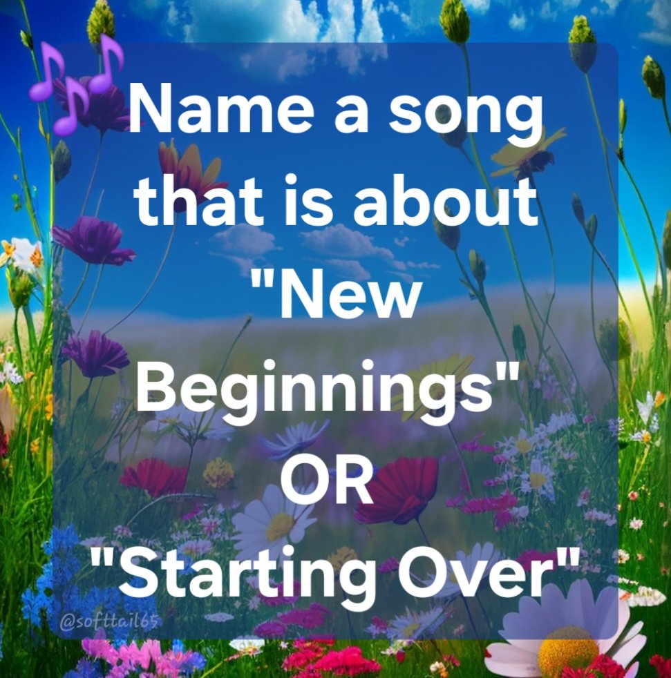 Monica 💙🌻🏳️‍🌈 tweet media