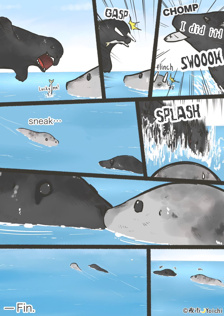 夜市🌙Yoichi tweet media