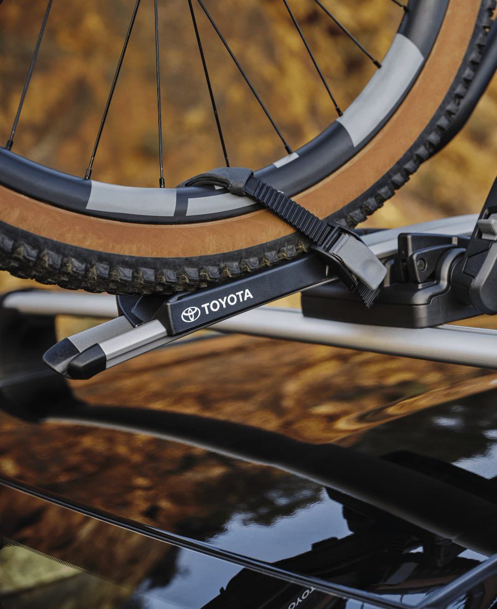 CB 7 Palmas tweet media