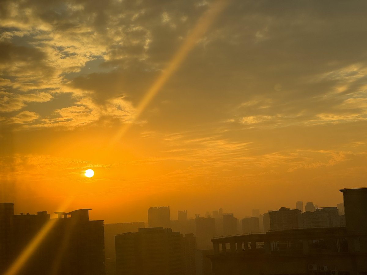 Malory Davies tweet media