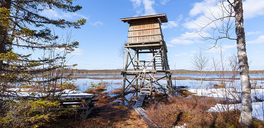 Martin 🇨🇿🇫🇮 tweet media