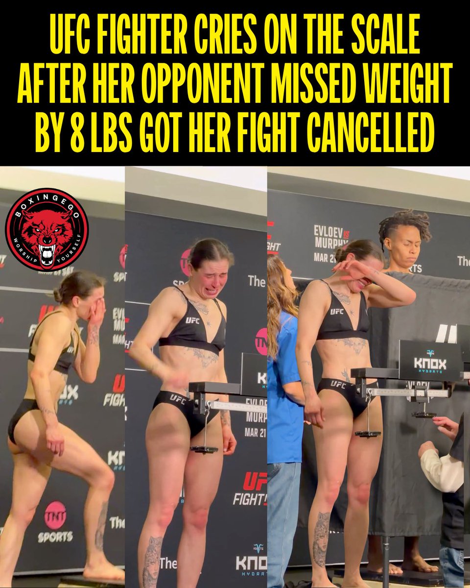 BOXINGEGO tweet media