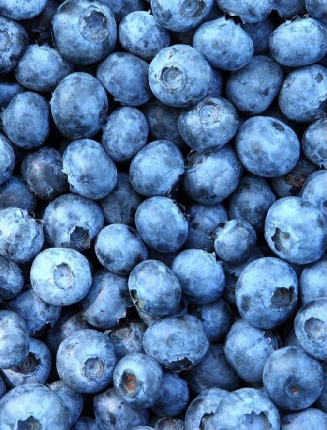 Pkittass tweet media