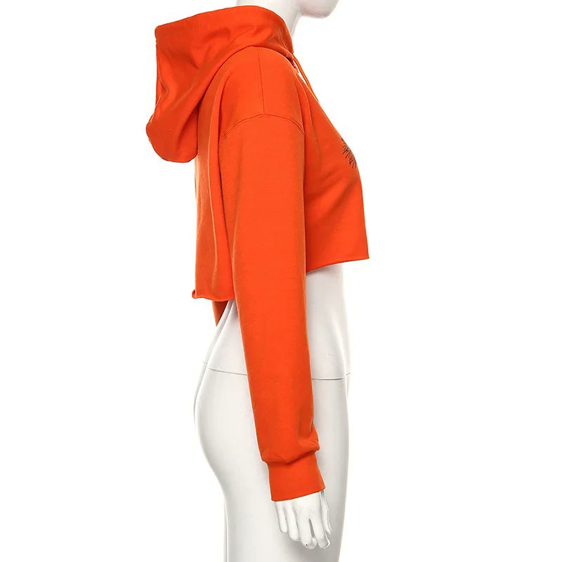 haleema janet ahmed tweet media