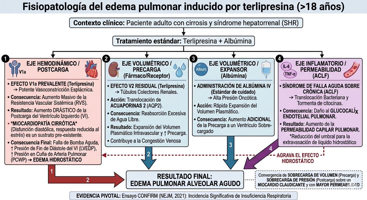 JonathanPMD's tweet photo. Edema pulmonar por terlipresina. https://t.co/3b0IKdPKFE