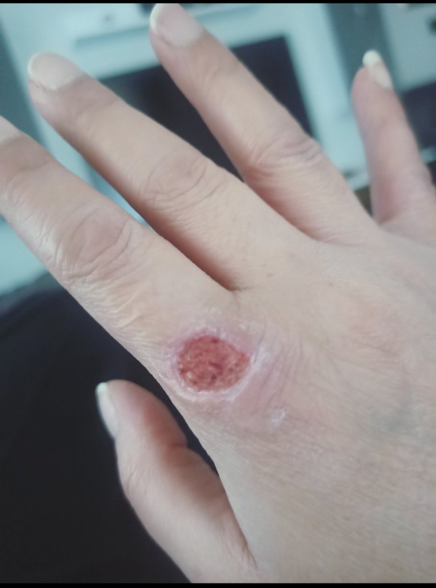 Atatürkçü BirKdn tweet media