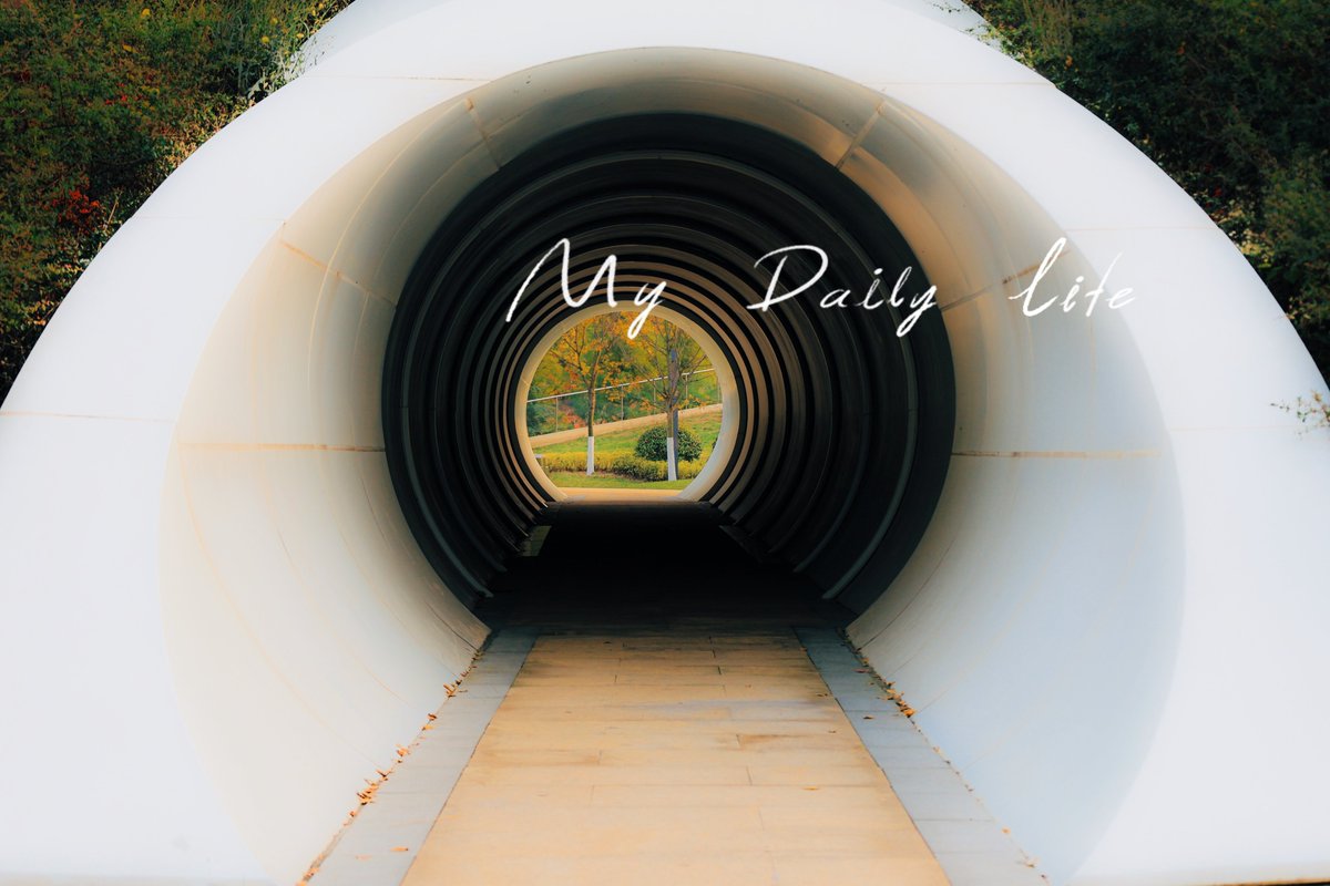 João Vytor tweet media