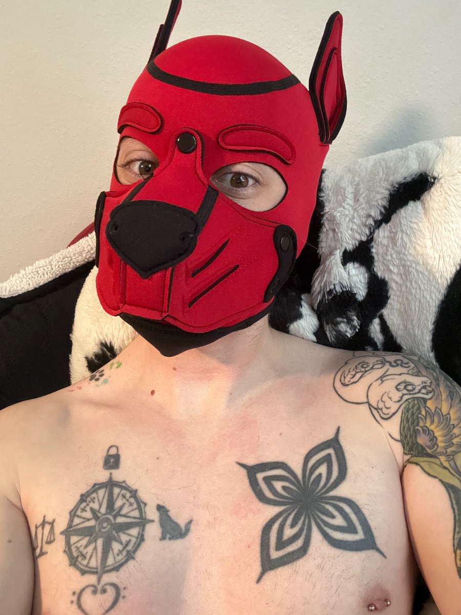 YourNewHandler tweet media