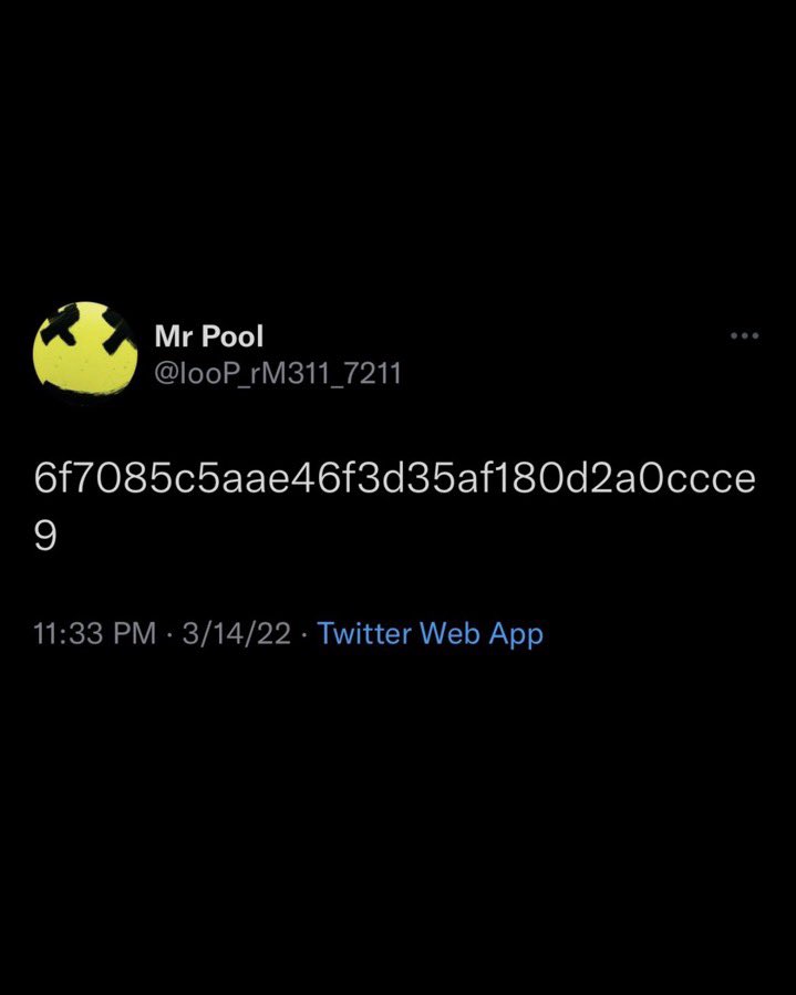 kouji 🇯🇵 tweet media