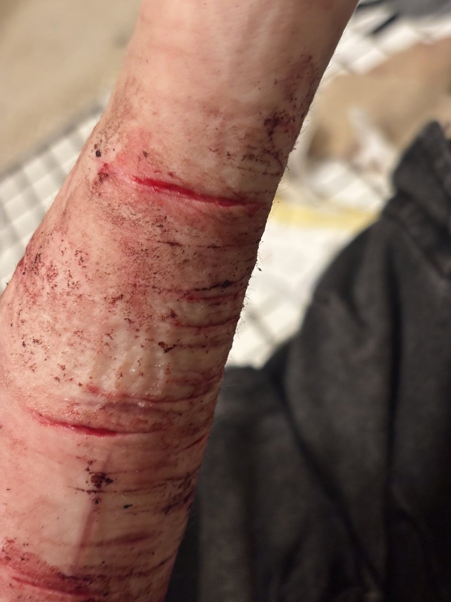 @ 𝘊𝘩𝘶𝘶𝘺𝘢𝘺𝘶 𝘰𝘧 𝘚𝘏𝘛𝘞𝘛 !! 𝜗𝜚 tweet media