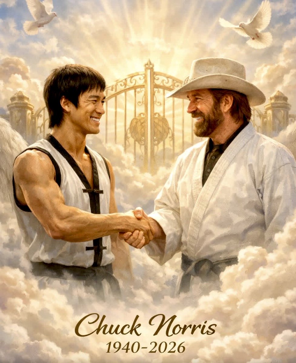 Denise 🤌🐾🇮🇹 tweet media