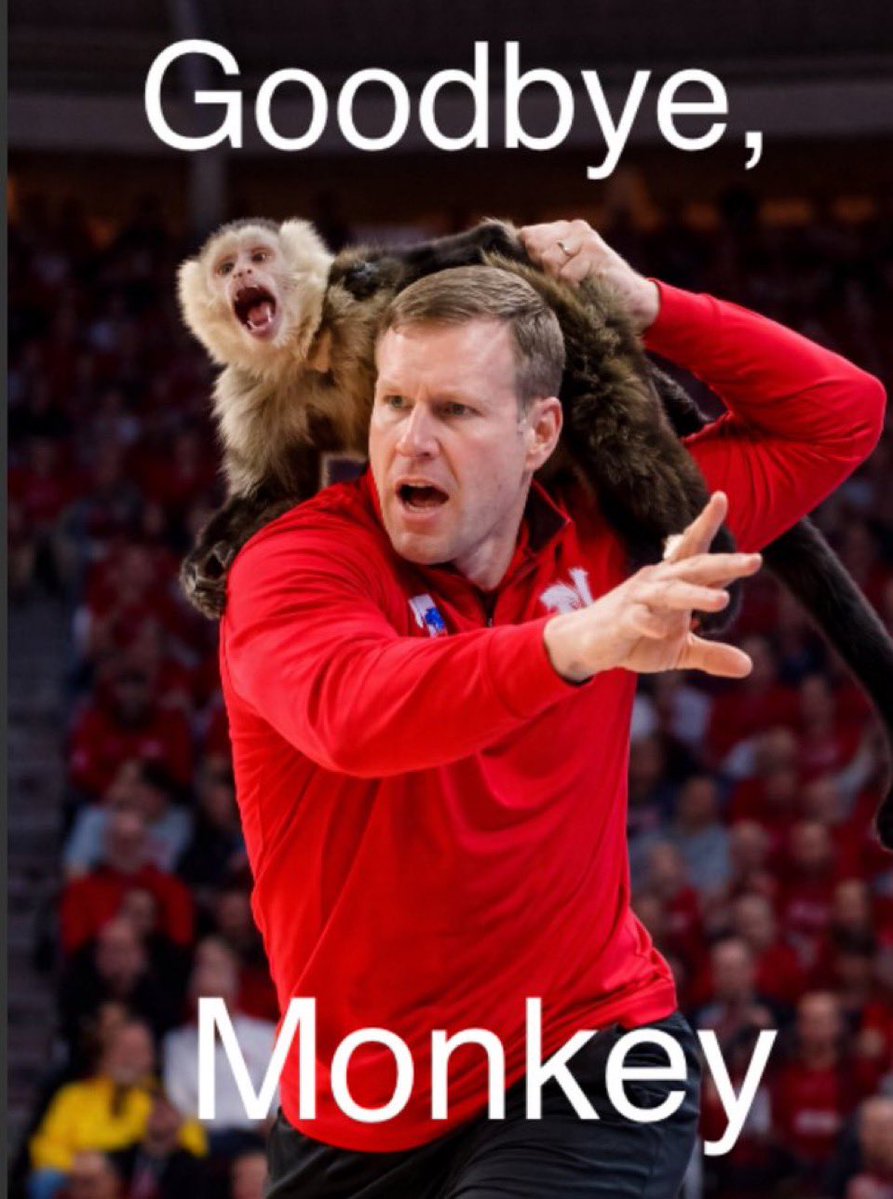 Mosh_Pit_Chad tweet media